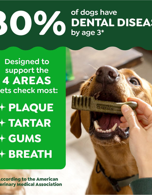 Load image into Gallery viewer, Original Petite Natural Dog Dental Care Chews Oral Health Dog Treats, 36 Ounce Pack (60 Treats)
