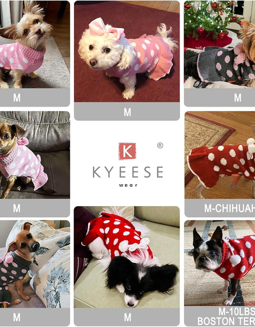 Load image into Gallery viewer, Dog Sweater Dress Turtleneck Polka Dot Dog Sweaters with Leash Hole Knitwear Warm Pet Sweater with Pom Pom Ball
