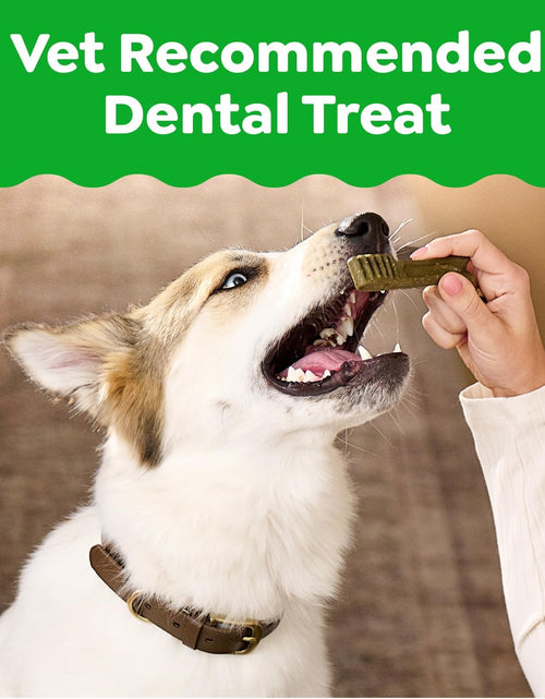 Load image into Gallery viewer, Original Petite Natural Dog Dental Care Chews Oral Health Dog Treats, 36 Ounce Pack (60 Treats)
