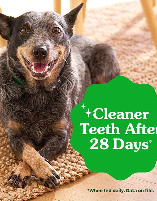 Load image into Gallery viewer, Original Petite Natural Dog Dental Care Chews Oral Health Dog Treats, 36 Ounce Pack (60 Treats)
