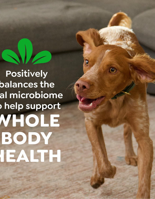 Load image into Gallery viewer, Original Petite Natural Dog Dental Care Chews Oral Health Dog Treats, 36 Ounce Pack (60 Treats)
