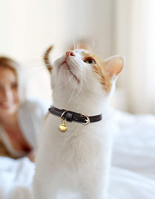 Load image into Gallery viewer, 3 Pack Leather Cat Collars with Bells Soft Pet Safety Collar Kitten Collars with Bell Black Chocolate Beige(Xs)
