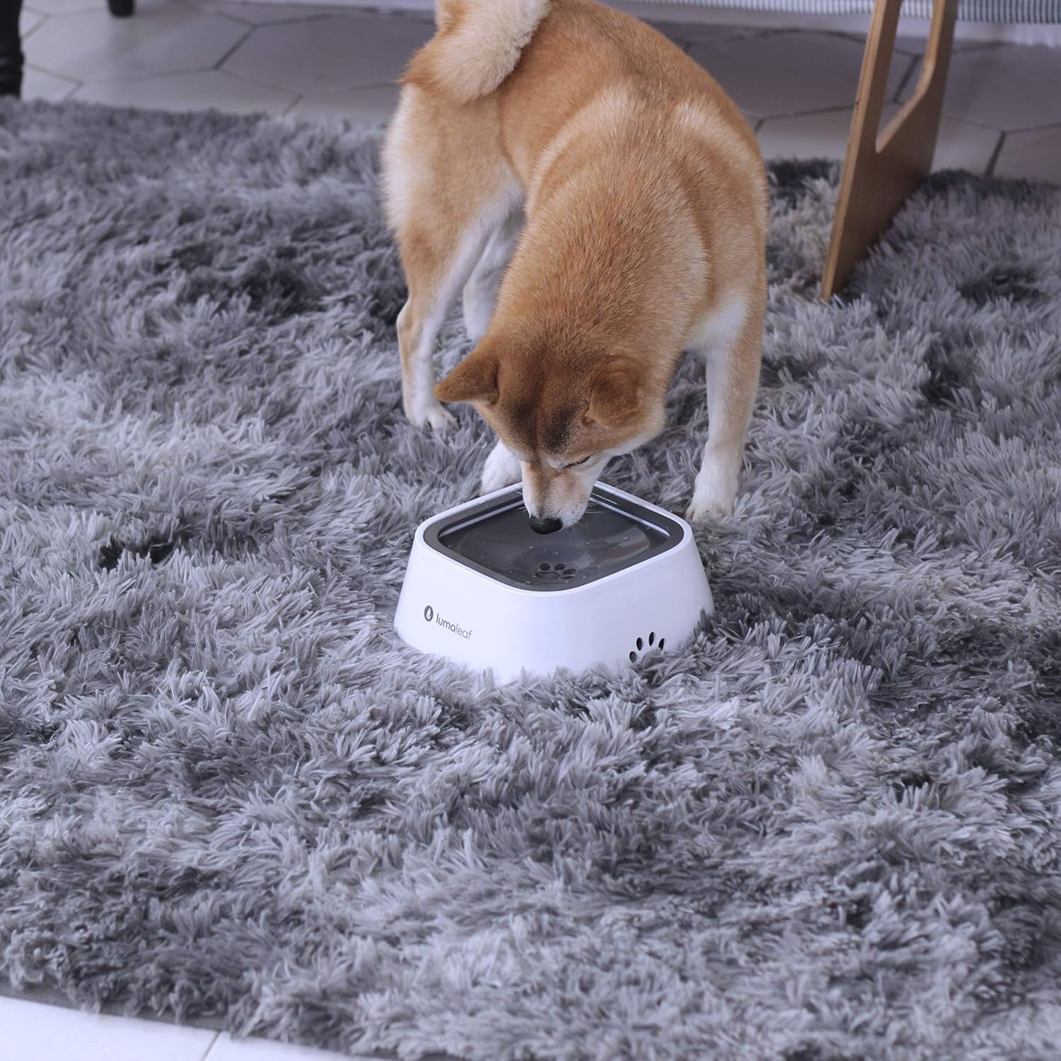 Dog Water Bowl, Dog Bowl No-Spill Pet Water Bowl 35Oz, Slow Water Feeder Dog Bowl, Vehicle Carried Dog Water Bowl for Dogs/Cats/Pets