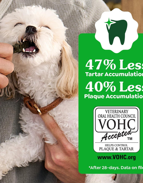 Load image into Gallery viewer, Original Petite Natural Dog Dental Care Chews Oral Health Dog Treats, 36 Ounce Pack (60 Treats)
